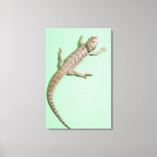 Gedekte draak 2 canvas afdruk