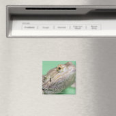 Gedekte draak 2 magneet (Insitu (Vaatwasser))