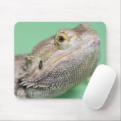 Gedekte draak 2 muismat (Met muis)