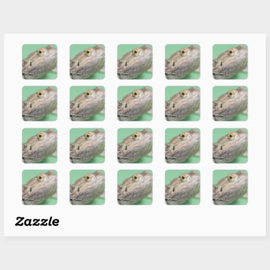 Gedekte draak 2 vierkante sticker (Vel)
