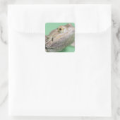 Gedekte draak 2 vierkante sticker (Tas)