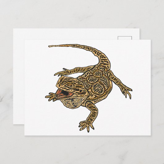 Gedekte draak briefkaart (Voorkant / Achterkant)