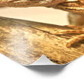 Gedekte draak foto afdruk (Hoek)