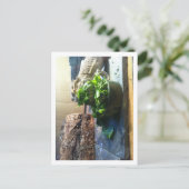 Gedekte draak geniet van salade briefkaart (Staand voorkant)