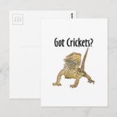 Gedekte draak heeft crickets briefkaart (Voorkant / Achterkant)
