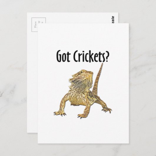 Gedekte draak heeft crickets briefkaart (Voorkant / Achterkant)