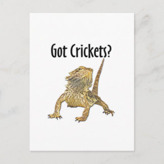 Gedekte draak heeft crickets briefkaart
