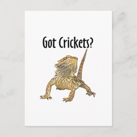 Gedekte draak heeft crickets briefkaart (Voorkant)