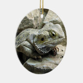 Gedekte draak keramisch ornament (Rechts)