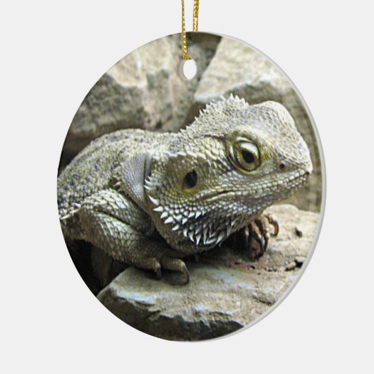 Gedekte draak keramisch ornament (Links)