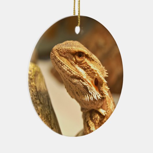 Gedekte draak keramisch ornament (Rechts)