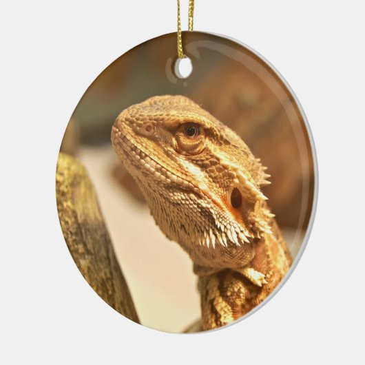 Gedekte draak keramisch ornament (Links)