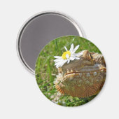 Gedekte draak magneet (Voorkant / Achterkant)