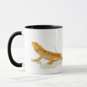 Gedekte draak mok (Links)