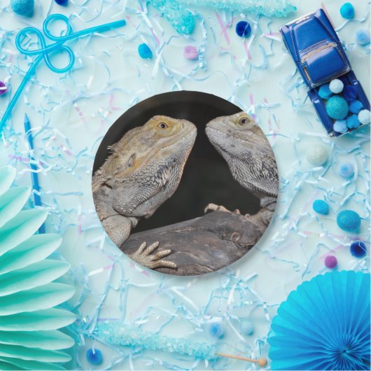 Gedekte draak papieren bordje (Feest)