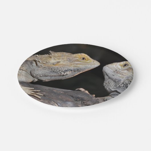 Gedekte draak papieren bordje (Gekanteld)