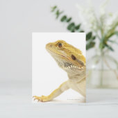Gedekte draak (Pogona Vitticeps) Briefkaart (Staand voorkant)