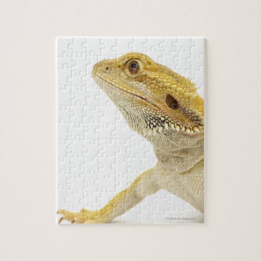 Gedekte draak (Pogona Vitticeps) Legpuzzel (Verticaal)