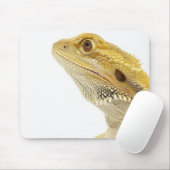 Gedekte draak (Pogona Vitticeps) Muismat (Met muis)