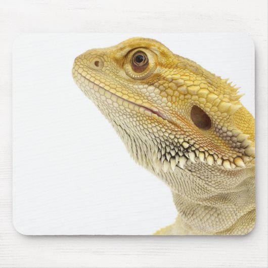 Gedekte draak (Pogona Vitticeps) Muismat (Voorkant)