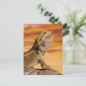 Gedekte draak (Pogona Vitticeps) op de steen Briefkaart (Staand voorkant)