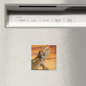 Gedekte draak (Pogona Vitticeps) op de steen Magneet (Insitu (Vaatwasser))