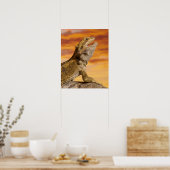Gedekte draak (Pogona Vitticeps) op de steen Poster (Keuken)