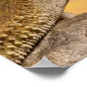 Gedekte draak (Pogona Vitticeps) op de steen Poster (Hoek)