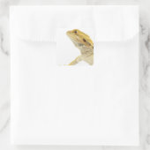 Gedekte draak (Pogona Vitticeps) Vierkante Sticker (Tas)