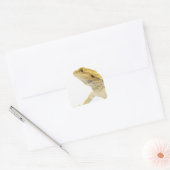 Gedekte draak (Pogona Vitticeps) Vierkante Sticker (Envelop)