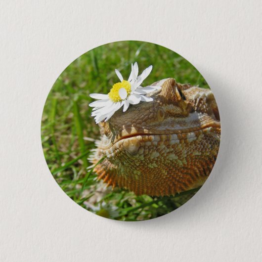 Gedekte draak ronde button 5,7 cm (Voorkant)
