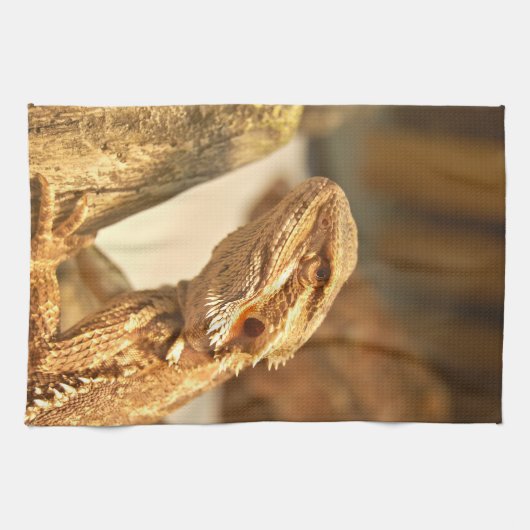 Gedekte draak theedoek (Horizontaal)