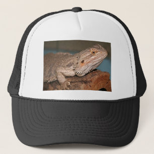 Gedekte draak trucker pet