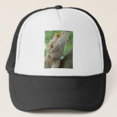 Gedekte draak trucker pet (Voorkant)