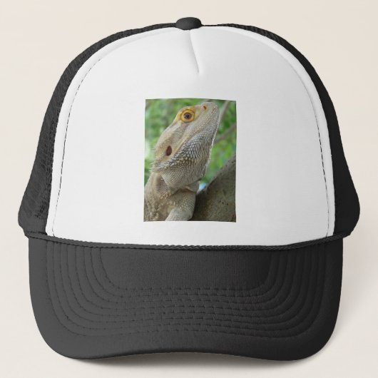Gedekte draak trucker pet (Voorkant)