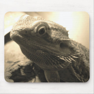 Gedekte Dragon-Muismat Muismat