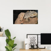 Gedekte Dragons Poster (Thuiskantoor)