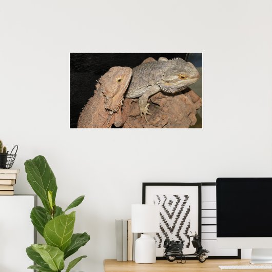 Gedekte Dragons Poster (Thuiskantoor)