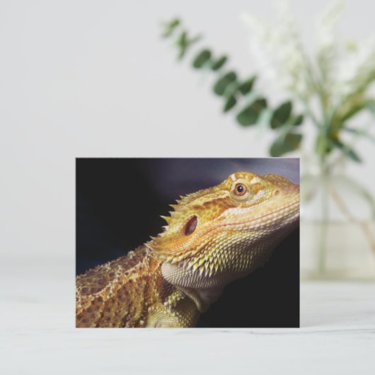 Gedekte drakenkop 2 briefkaart (Staand voorkant)