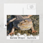 Gedekte Drakenreeks Briefkaart (Voorkant / Achterkant)