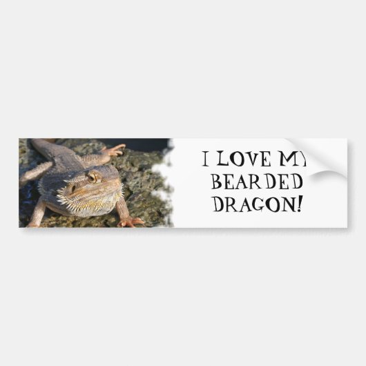 Gedekte Drakenreeks Bumpersticker (Voorkant)