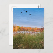 Gedekte herfst Connecticut Briefkaart (Voorkant / Achterkant)