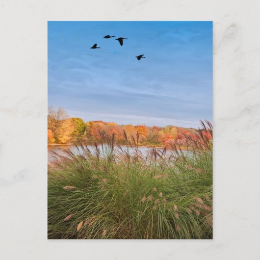 Gedekte herfst Connecticut Briefkaart (Voorkant)