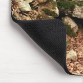 Gedekte ingang van een tumulus muismat (Hoek)