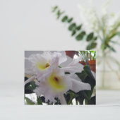 Gedekte Iris Briefkaart (Staand voorkant)