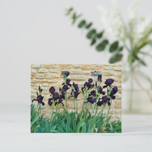Gedekte Iris Briefkaart (Staand voorkant)