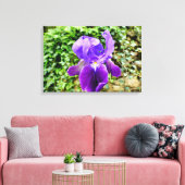 Gedekte Iris Canvas Afdruk (Insitu (Woonkamer))