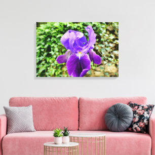 Gedekte Iris Canvas Afdruk
