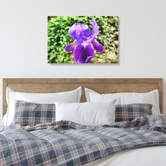 Gedekte Iris Canvas Afdruk (Insitu (Slaapkamer))