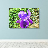 Gedekte Iris Canvas Afdruk (Insitu (Houten vloer))